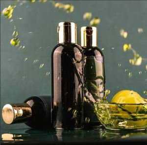 Huile de baies de piment 100% pure de haute qualité en gros, fabricant d'huile de piment 100% pure et naturelle, meilleure huile de baies de piment en INDE - Product Image 1