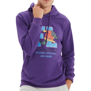 Vente en gros de sweats à capuche imprimés avec logo personnalisé pour hommes sweats à capuche streetwear épais 100% coton sweats à capuche pour hommes - Product Image 1