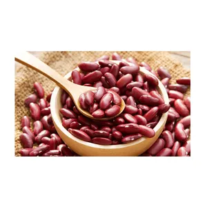 최고의 품질 도매 붉은 신장 콩 판매 저렴한 가격 도매 고품질 새로운 유기농 보라색 진한 빨간색 신장 콩