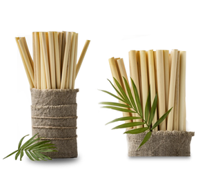 Pajitas de bambú/a base de plantas/lavables/listas para exportar - Product Image 1