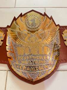 เข็มขัดแชมป์ที่กำหนดเองรางวัลเหรียญและรางวัลสัญลักษณ์สูงสุดของชัยชนะและเข็มขัดแชมป์ - Product Image 6