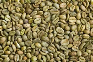 เมล็ดกาแฟเวียดนามอาราบิก้า 100% คุณภาพพิเศษ กระบวนการธรรมชาติ เกรด A+ บรรจุถุง ราคาแข่งขัน คุณภาพสูง - Product Image 4