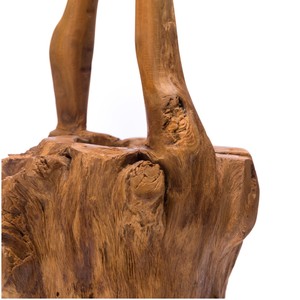 Erosin Long Trunk Teak Root Decorative <b>Object</b> Unique Rustic Organic Beauty to Enhance Any Room with Natural Charm - Product Image 4