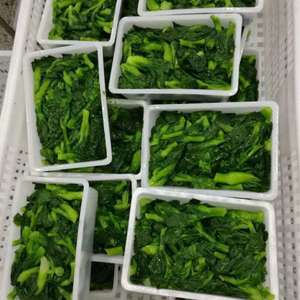 Suministro a granel de hojas de rábano congeladas para uso en la industria alimentaria - Product Image 1