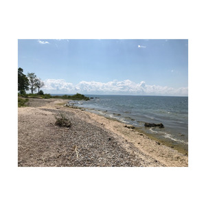 Madera de calidad para todos sus proyectos de carpintería disponible a precios inmejorables Consiga Beech Long para todos sus proyectos de construcción - Product Image 1