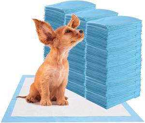 Factory Wholesale New Pet <b>Pad</b> Biodegradable Eco Friendly Dog Cat <b>Pee</b> Training <b>Pad</b> for Pets - Product Image 4