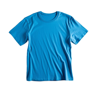 Nouvel Arrivage T-shirt Homme Manches Courtes 100% Coton 220 g/m² Vente en Gros Personnalisable Impression Personnalisée T-shirt Vierge Épais