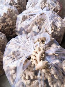 Gingembre frais de bonne qualité avec une longue durée de conservation emballé dans un sac ou une boîte en filet adapté à une utilisation alimentaire à l'exportation ou aux commandes en gros - Product Image 3
