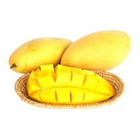 Vietnam Hoogwaardige Verse Mango - Tropisch Fruit voor Export met Groothandelsprijs