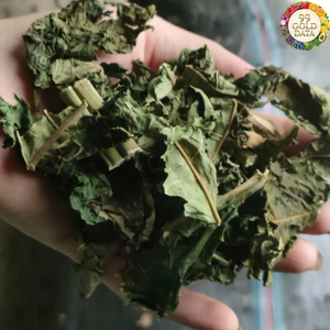 Feuilles de papaye séchées naturelles Origine Vietnam Fabriquées à partir de feuilles de papaye propres Pour la fabrication de thé et les applications alimentaires - Product Image 4