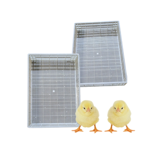 Nuevo diseño, entrega rápida, suelo de listones de plástico para aves de corral, equipo personalizable para aves de corral de pato del fabricante de Vietnam - Product Image 2