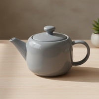 Théière en céramique de qualité supérieure 3460709C-0.5, pratique pour un usage quotidien, 500 ml, pour thé en vrac
