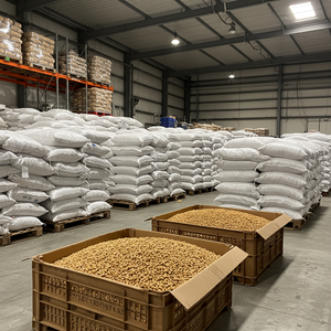 Noix de cajou Noix de cajou crues Noix de cajou crues séchées sans coque - Product Image 1