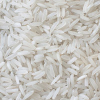 Riz Jasmin Biologique Frais du Vietnam Riche en Fibres Gamma Oryzanol Sain Riz Arborio à Grains Moyens pour le Contrôle du Cholestérol Riz Cassé
