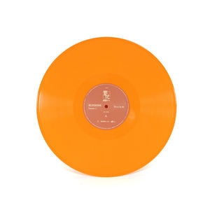 <span class=keywords><strong>Disques</strong></span> vinylique directs d'usine, pressage rapide, fabricant de LP colorés personnalisés - Product Image 5
