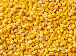Maïs sucré en conserve en saumure, qualité fraîche et propre - Product Image 2
