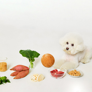 [LifLit] Suplementos de Salud para Mascotas: Receta Liofilizada de Carne Única de Caballo, Perro y Gato, Alta en Proteínas, Apoyo Inmunológico, Edición Limitada - Product Image 4