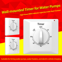 Interruptor Temporizador Electrónico de 10A y 30 Minutos, Enchufe con Temporizador Digital, Interruptor de Control de Enchufe, CA 220V
