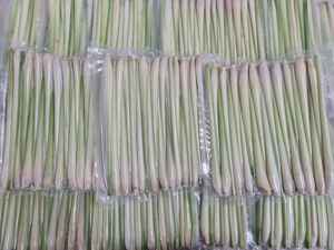 Economical Bulk <b>Frozen</b> Lemongrass Premium Vietnamese Quality - Product Image 3