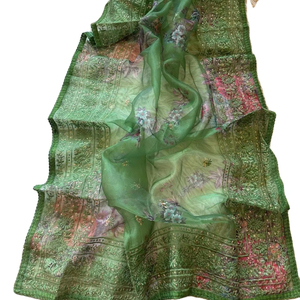 Sarees de Invierno de Diseño Elegante Importados de Shree Indian Exports, para Fiestas y Bodas, 100% Seda Organza, con Blusa y Pieza de Piel Sintética - Product Image 1