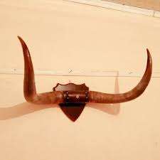 ธรรมชาติ