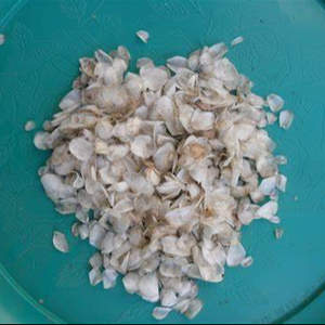 LA MEJOR OPCIÓN 2025 PRODUCCIÓN DE ESCALAS DE PESCADO SECAS DE ALTA CALIDAD DE VIETNAM - Product Image 1