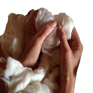Organic Raw Cotton Bales 100% <b>Ginned</b> Cotton High Quality Eco-Friendly Anti-Bacteria Breathable Filling Material Bleached - Product Image 2
