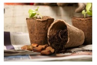 Pot de fleur de coco en fibre de coco de qualité supérieure 100% Pot de fleur de coco biodégradable écologique à bas prix prêt à expédier