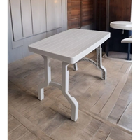 Table pliante portable moderne CATEEM en plastique, antidérapante, compacte, pour extérieur, cuisine, camping, vie urbaine