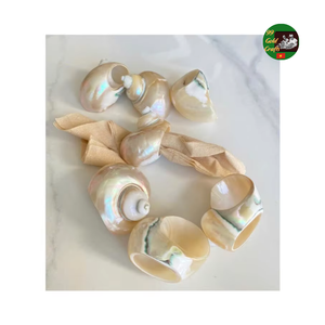 Seashell <b>Napkin</b> Rings Handmade for Wedding Table Setting, Turbo Shell <b>Napkin</b> <b>Holders</b> Elegant Seashell Design for Banquet Tables - Product Image 5