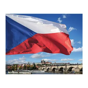Euro 2024 Hot Selling 100% Durable Polyester 90x150cm Customize 3x5 Ft Czech Republic Flag Czech