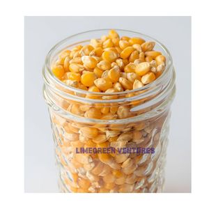 Maïs jaune de qualité supérieure non OGM 100% naturel Meilleur aliment pour volailles et bétail pour une croissance saine et nutritive pour les chevaux les porcs - Product Image 1