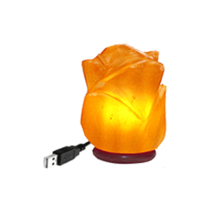 Lámpara de sal rosa del Himalaya LED Enchufe USB Varias formas Mini lámparas de sal Técnica tallada Varias formas Mini lámparas de sal a granel - Product Image 1