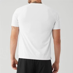 2025 New Fashion Men's Slim Fit Neck T-Shirt 100% Cotton Knitted 240 Grams <b>Weight</b> Silk Screen Print Breathable Stretchable <b>Blank</b> - Product Image 5