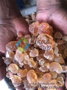 Rikaz Group's 100% Natural Sudan Acacia Gum Arabic Powder Aditivo alimenticio de la más alta calidad para uso agrícola multiusos - Product Image 3