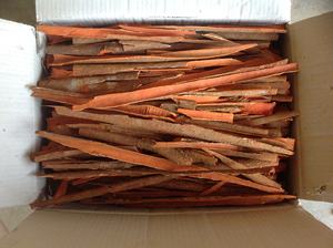Cassia de Vietnam en Venta - Product Image 5