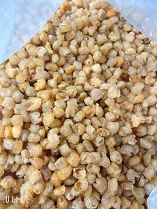 ลำไยผลไม้ตากแห้งแบบพรีเมี่ยมจากเวียดนาม - Product Image 4