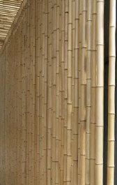 Estacas de bambú amarillo duro Postes de bambú rectos Tamaños personalizados para la construcción Fábrica de Vietnam al por mayor - Product Image 5