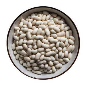 Frijoles blancos a buen precio a granel Frijoles blancos orgánicos de gran venta Frijoles blancos secos orgánicos para la venta - Product Image 3