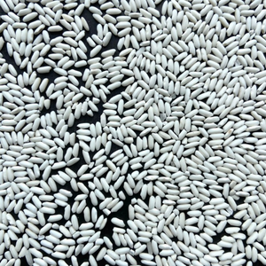 Riz Gluant de Qualité Supérieure 5% Brisures Provenant de l'Usine du Vietnam Prix Bas - Pey - Product Image 2