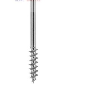 Implantes ortopédicos veterinarios Tornillo de bloqueo de alta calidad - Product Image 5
