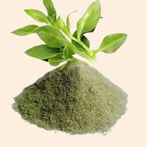 Poudre d'extrait sec de Kalmegh |   pour les formulations ayurvédiques et cosmétiques |   Pack de 1 kg |   Fabriqué en Inde - Product Image 1