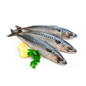 Mejor Precio de Fábrica: Pescado Congelado, Caballa Española Entera, en Venta - Product Image 4