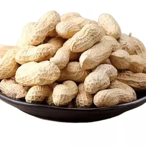 Preço de fábrica peanut em concha alta nutrição