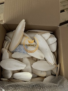 Chất Lượng Cao Khô Mực Xương Mực OS De Seiche Mực Cá Mực Xương Có Hương Vị Chim Mực Xương - Product Image 3