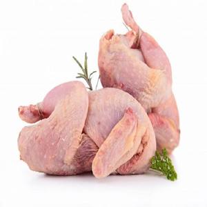 Poulet entier halal surgelé de qualité supérieure 5 kg, livraison rapide, vente en gros, nutritif, riche en vitamines - Product Image 6