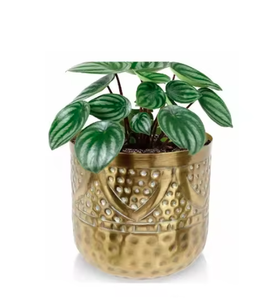 Pot de fleur de luxe de haute qualité et jardinière jardinières décoratives pour décor de jardin à la maison attrayant fini - Product Image 4