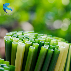 Pailles à boire écologiques en herbe naturelle Alternative compostable sans plastique - Product Image 4