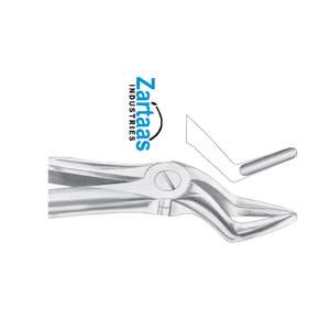 คีมสกัดรากด้านบนทำจากสแตนเลสผู้ผลิตและส่งออก - Product Image 5