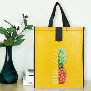 Customizable Pattern Non-woven <b>Fabric</b> Shopping <b>Bag</b> with PP Webbing Handles (Medium Size Available) - Product Image 1